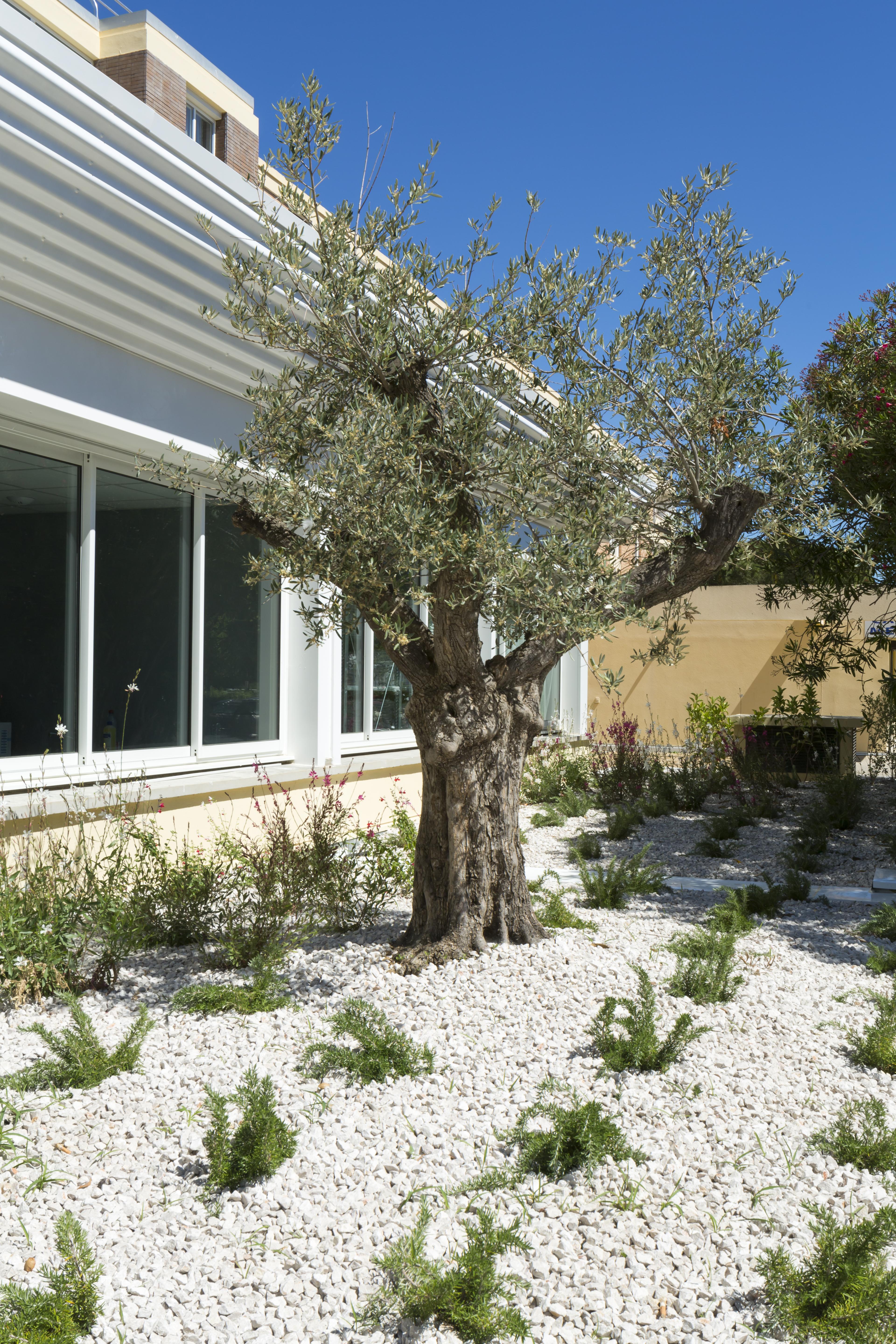 Opéralia Hôtel les Pins Balaruc-les-Bains Exterior foto