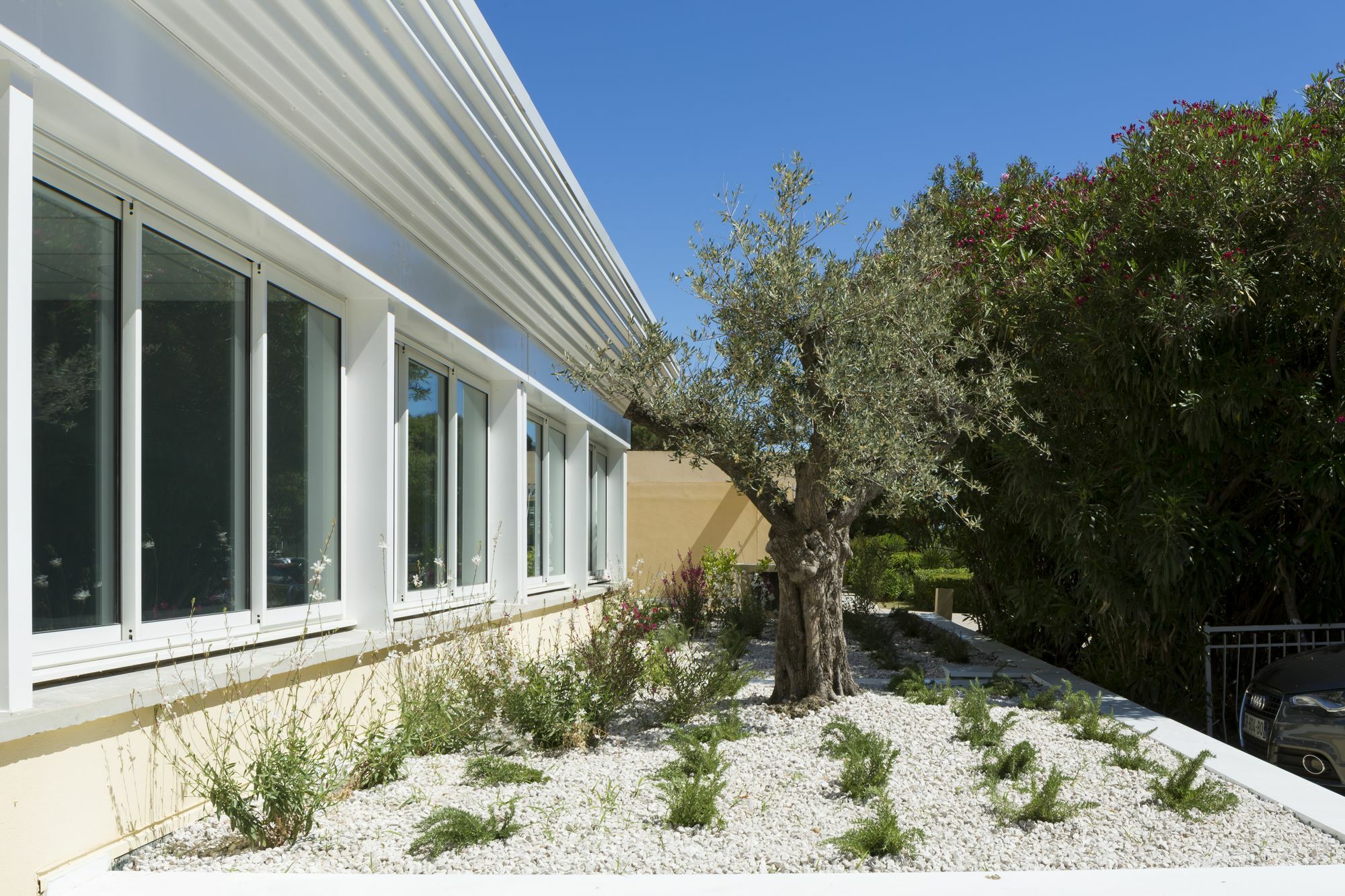 Opéralia Hôtel les Pins Balaruc-les-Bains Exterior foto